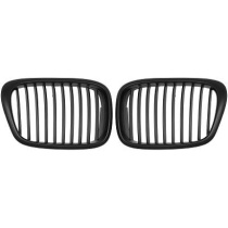 BMW 5-Serie E39 95-03 Svart Sportgrill / Njurar DIEDERICHS